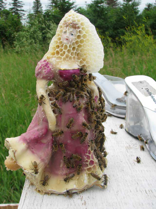 Illustration for article titled An Artist and Her Bees Create Beautiful Honeycomb-Draped Sculptures